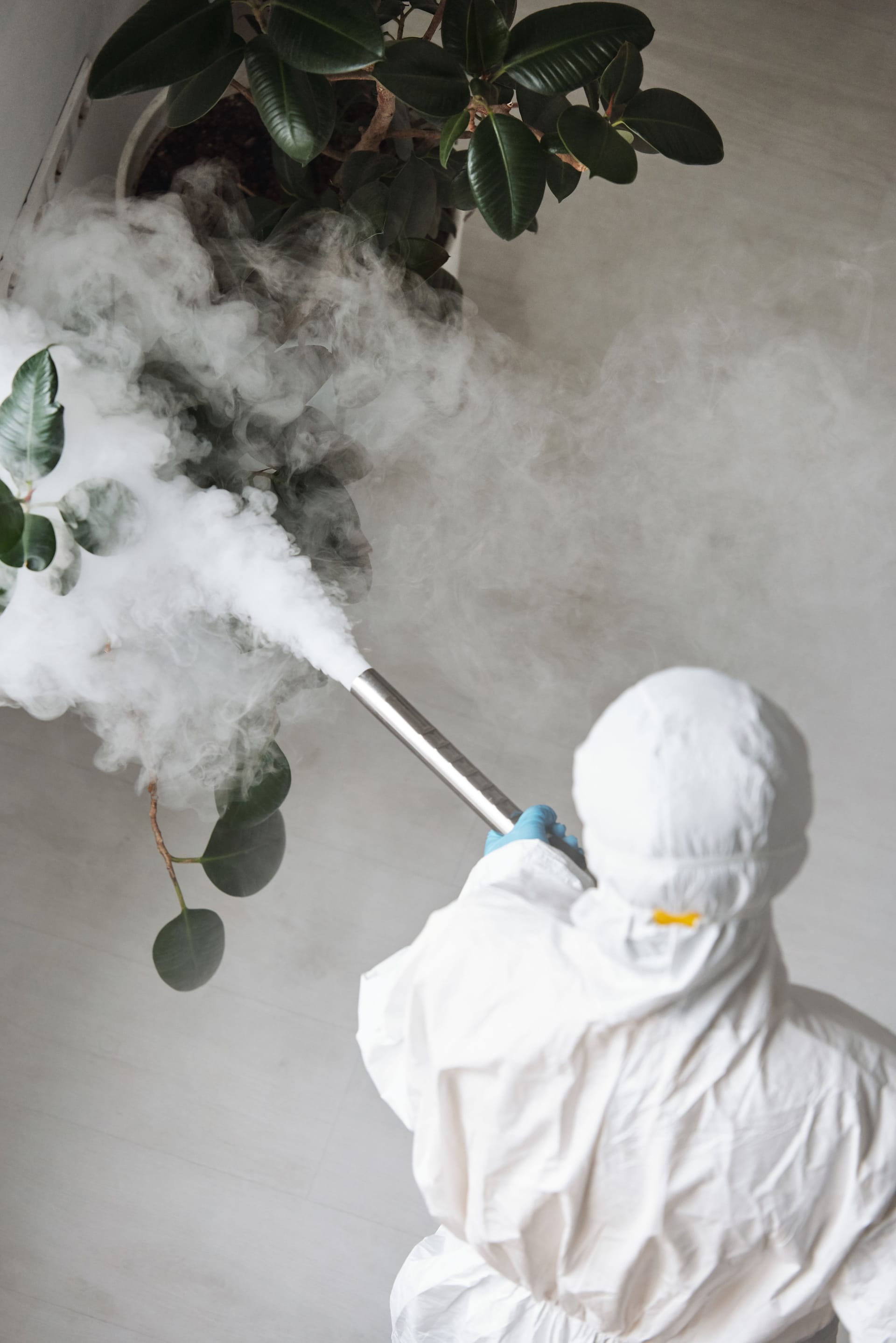 Pest Control marketing