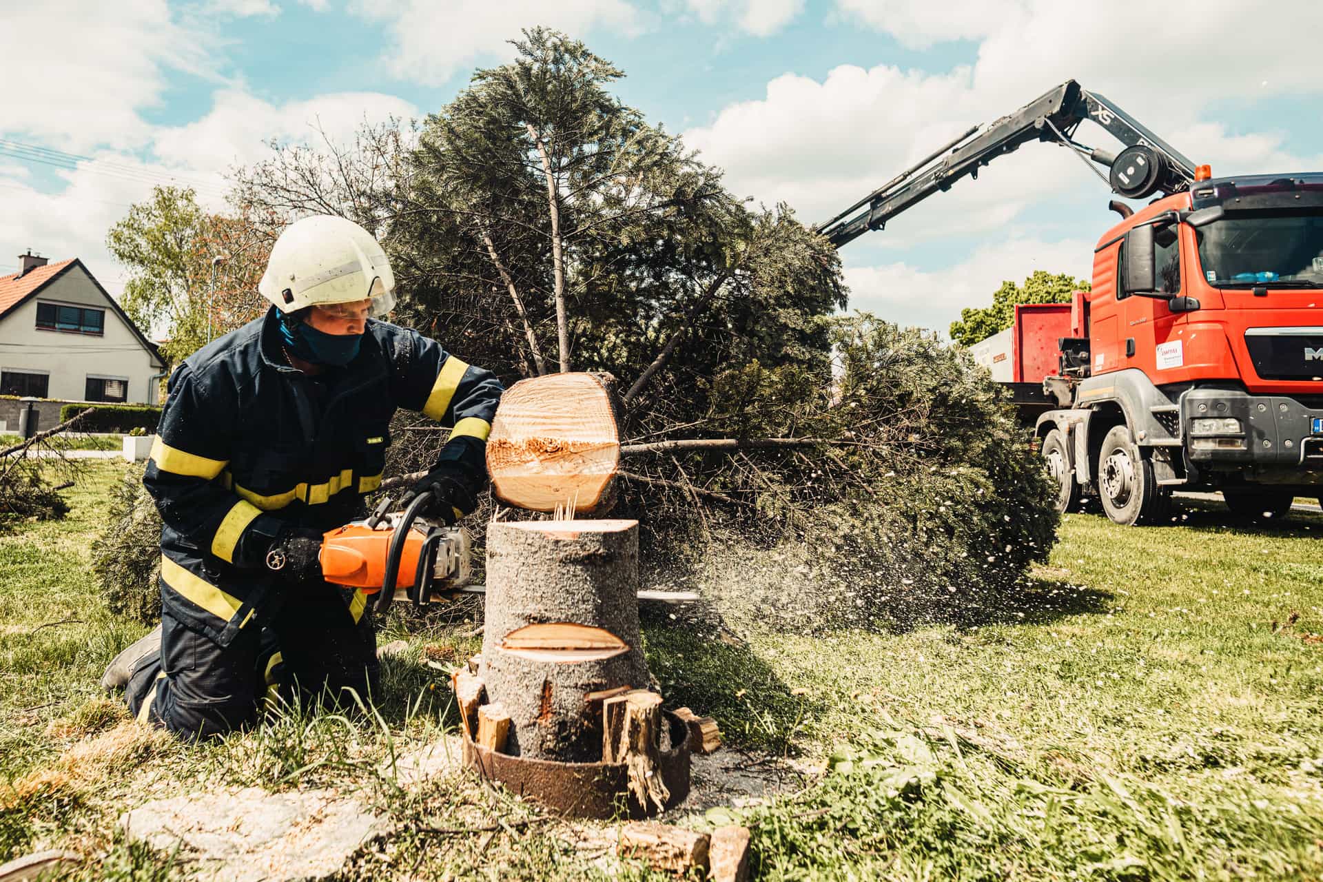 Tree Services marketing